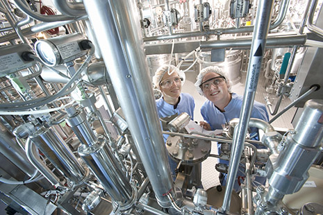 Biotech Produktion
